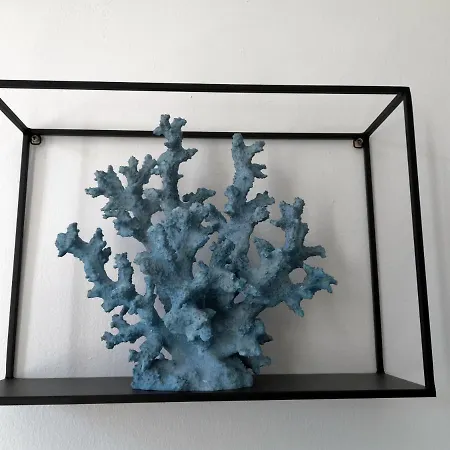 Grand 2 Pieces Renove Climatise, Vieil Antibes, Proche Port אנטיב